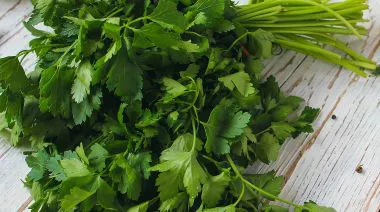 garnishing-instructions-image